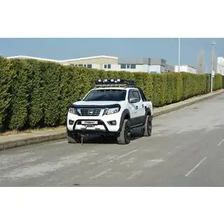 Hood Deflector (EuroCap) photo 4