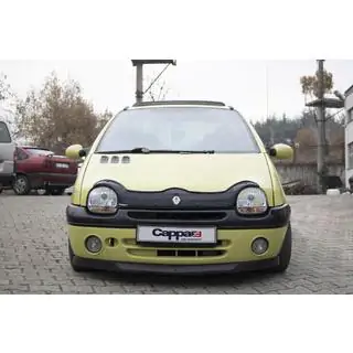 Hood Deflector (EuroCap) photo 2