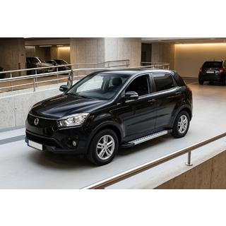 Side Steps New Vision Grey (2 pcs, Aluminum) photo 1