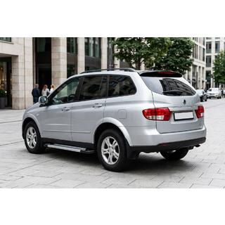 Side Steps New Vision Grey (2 pcs, Aluminum) photo 1