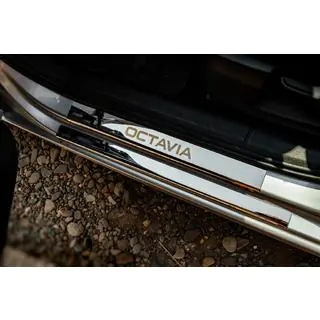 Door Sill Protectors Carmos V1 (8 pcs, Stainless Steel)