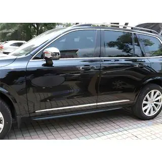 Chrome Door Moldings (4 pcs, Stainless Steel)