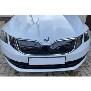 Winter grille (2017-2020)