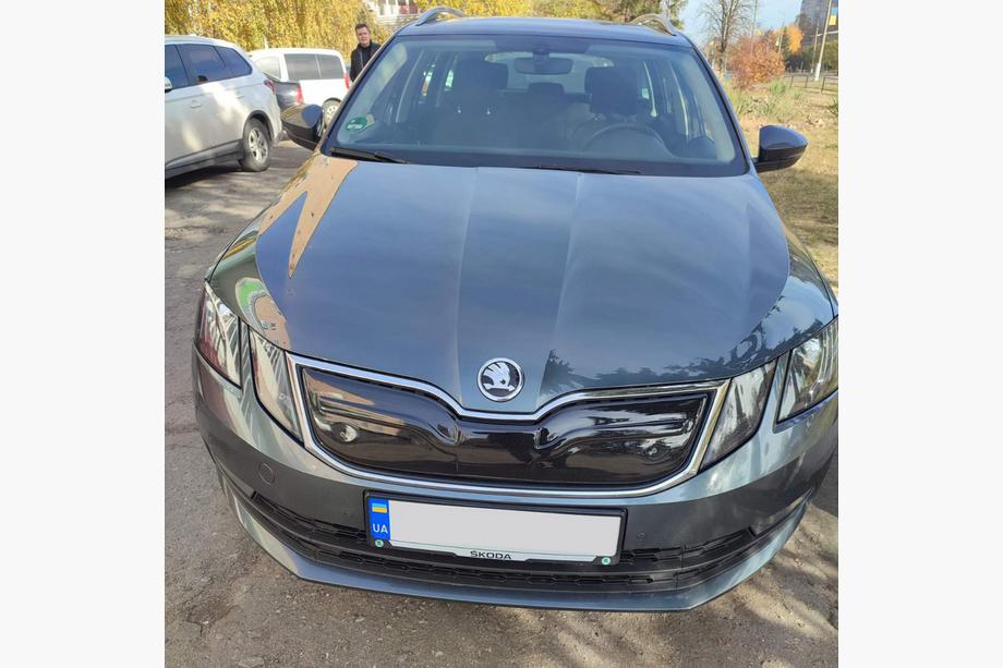 Skoda Octavia III A7 2013-2019 Winter grille (2017-2020) Photo 5