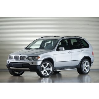 Side Steps Tayga Grey (2 pcs, aluminum) BMW X5 E53 1999–2006 photo 1