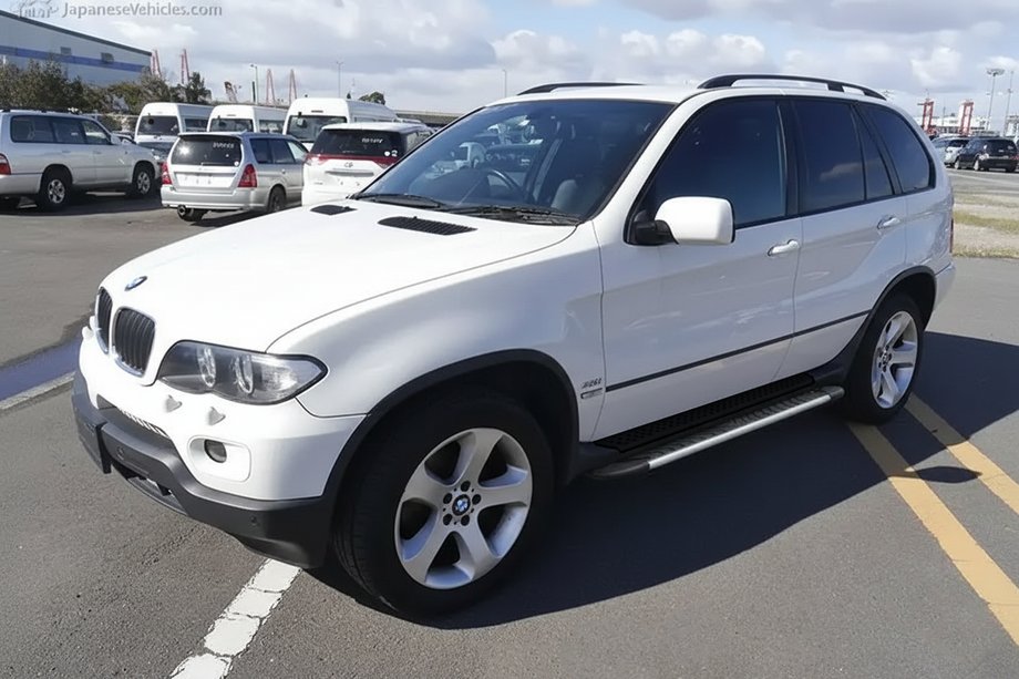 BMW X5 E53 1999–2006 Side Steps Bosphorus Grey (2 pcs, Aluminum) Image