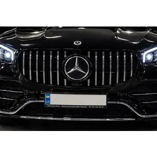 Front Grille 2019-2023 (GT Panamericana) photo 3