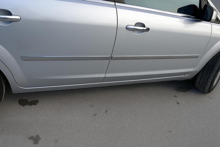 Ford C-Max 2004-2010 Door Mouldings Stainless Steel (4 pcs) Carmos - Turkish Stainless Steel Image