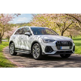 Side Steps Allmond Grey (2 pcs, Aluminum) Audi Q3 2019–2025 photo 1