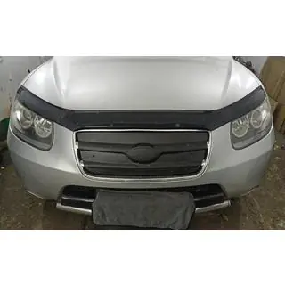 Winter grille 2005-2010 (upper) photo 1