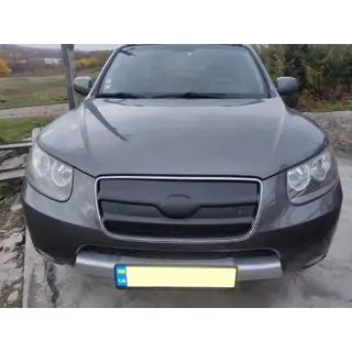 Winter grille 2005-2010 (upper) photo 2