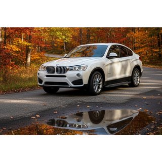 Side Steps Bosphore Grey (2 pcs, Aluminum) BMW X4 F26 2014-2018 photo 1