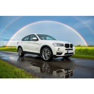 Side Steps Rainbow (2 pcs, Aluminum) BMW X4 F26 2014-2018 photo 1