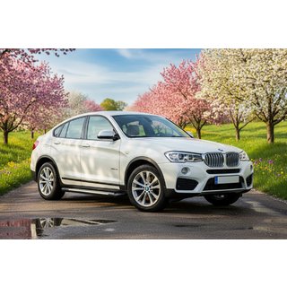 Side Steps Allmond Grey (2 pcs, Aluminum) BMW X4 F26 2014-2018 photo 1