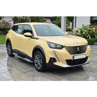 Side Steps Tayga V2 (2 pcs, Aluminum) photo 1
