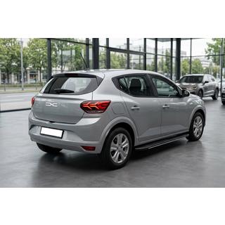 Side Steps Bosphorus Grey (2 pcs, Aluminum) Dacia Sandero 2021- photo 1