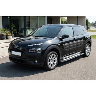 Side Steps Rainbow (2 pcs, Aluminum) Citroen Cactus 2014-2020 photo 1