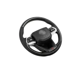 Steering Wheel Assembly TLC300 Design (Wood) photo 4