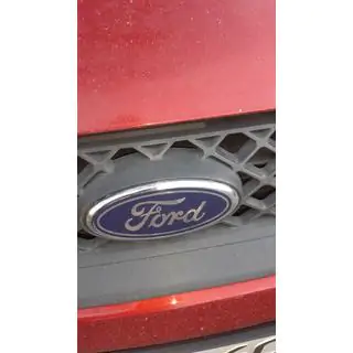 Front emblem (with clips) photo 4