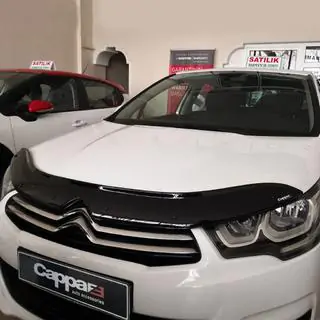 Hood Deflector (EuroCap) photo 1