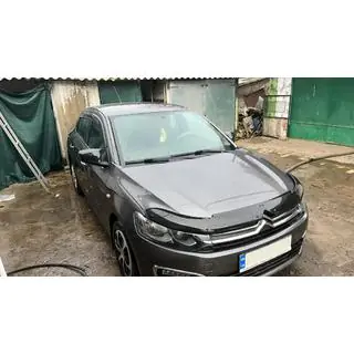 Hood Deflector (EuroCap)