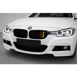 Kidney Grilles M-Look (German Color) BMW 3 Series F30/F31 2012-2019 photo 1