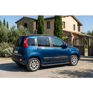 Side Steps Allmond Black (2 pcs, Aluminum) photo 1