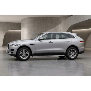 Side Steps Maydos V1 (2 pcs, Aluminum) photo 1